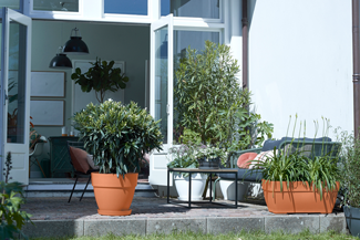 loft urban saucer round 21cm terra